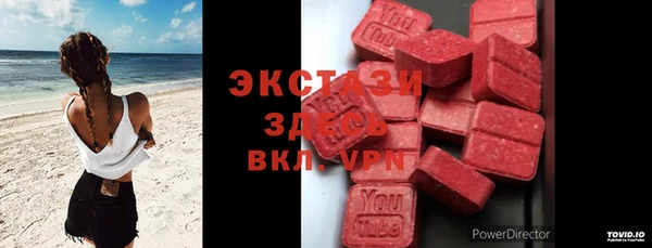 прущие грибы Ростов