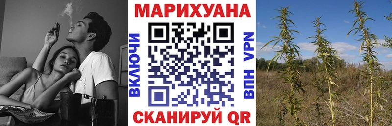 Купить где  Каргополь  МАРИХУАНА THC 21% 
